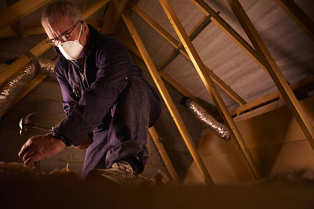 Best Eco-Friendly Insulation in Palm Beach Gardens, FL